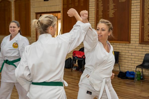 Adults Karate 1