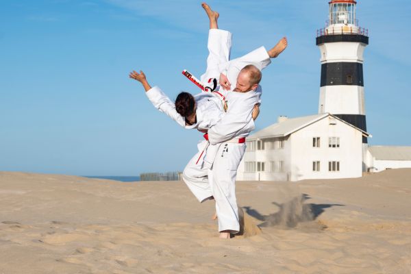 Application of Karate Pic 3