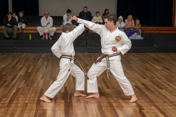 Teen Karate Pic 6
